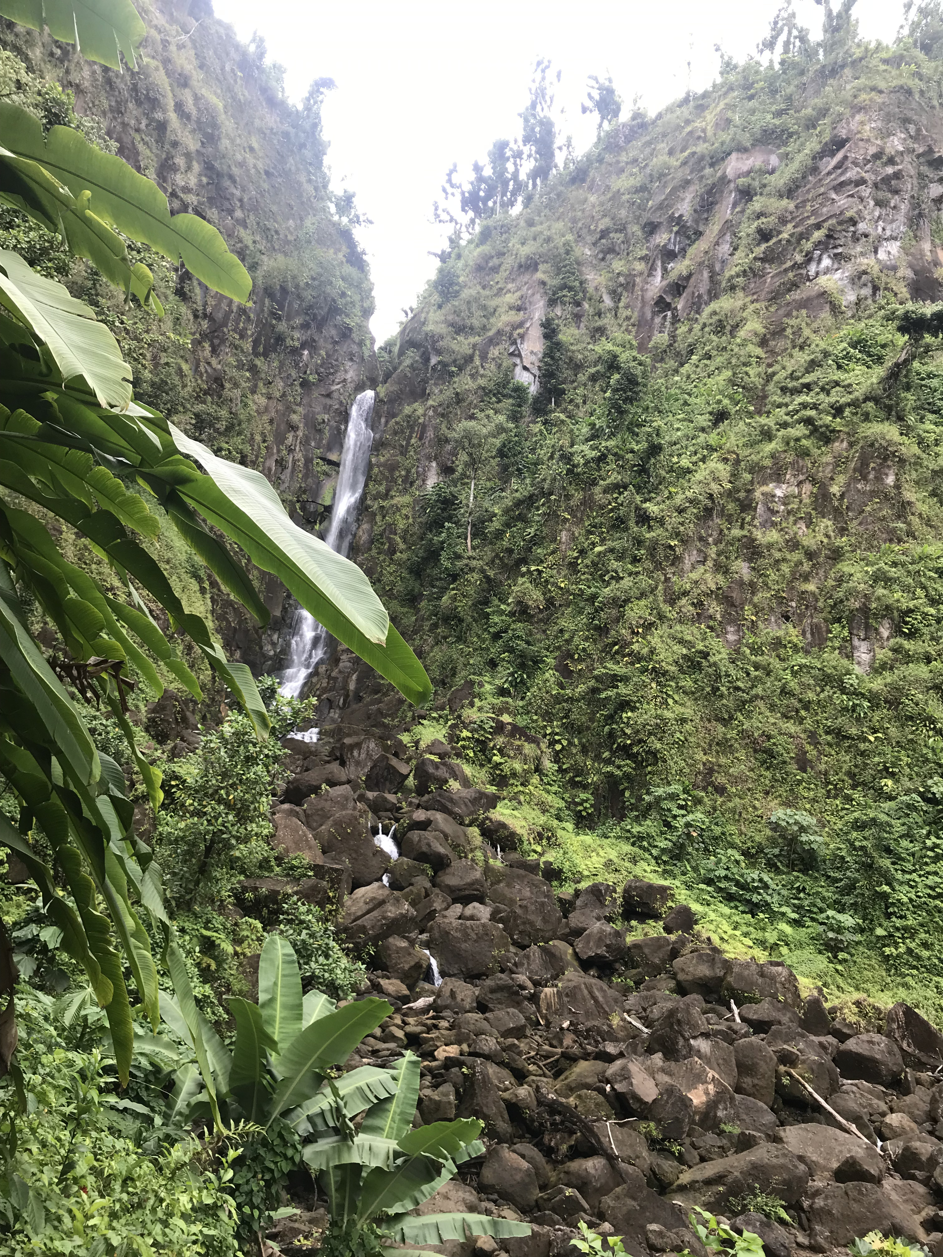 Dominica