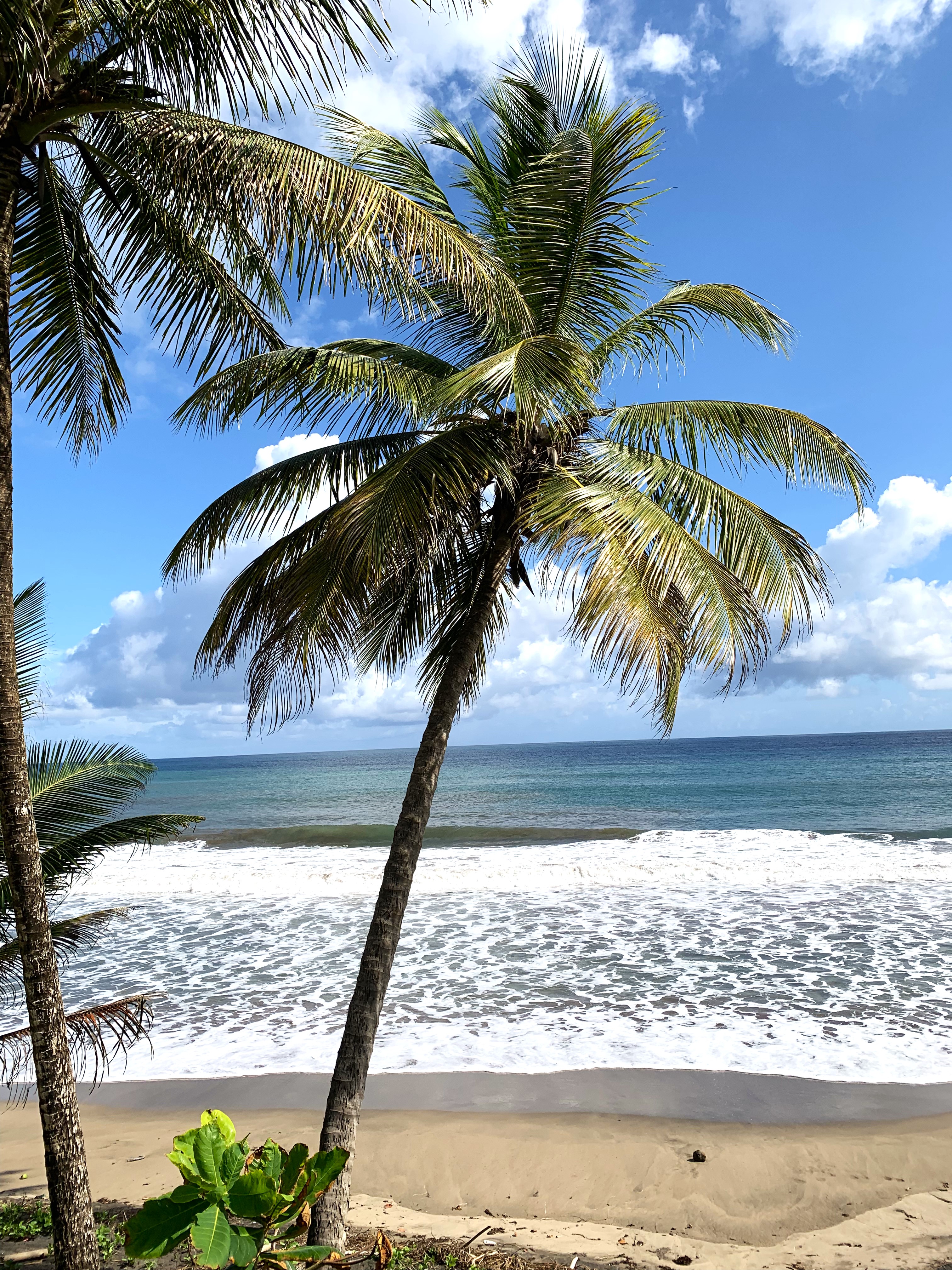 Martinique
